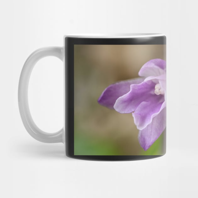 Roscoea alpina by chrisburrows